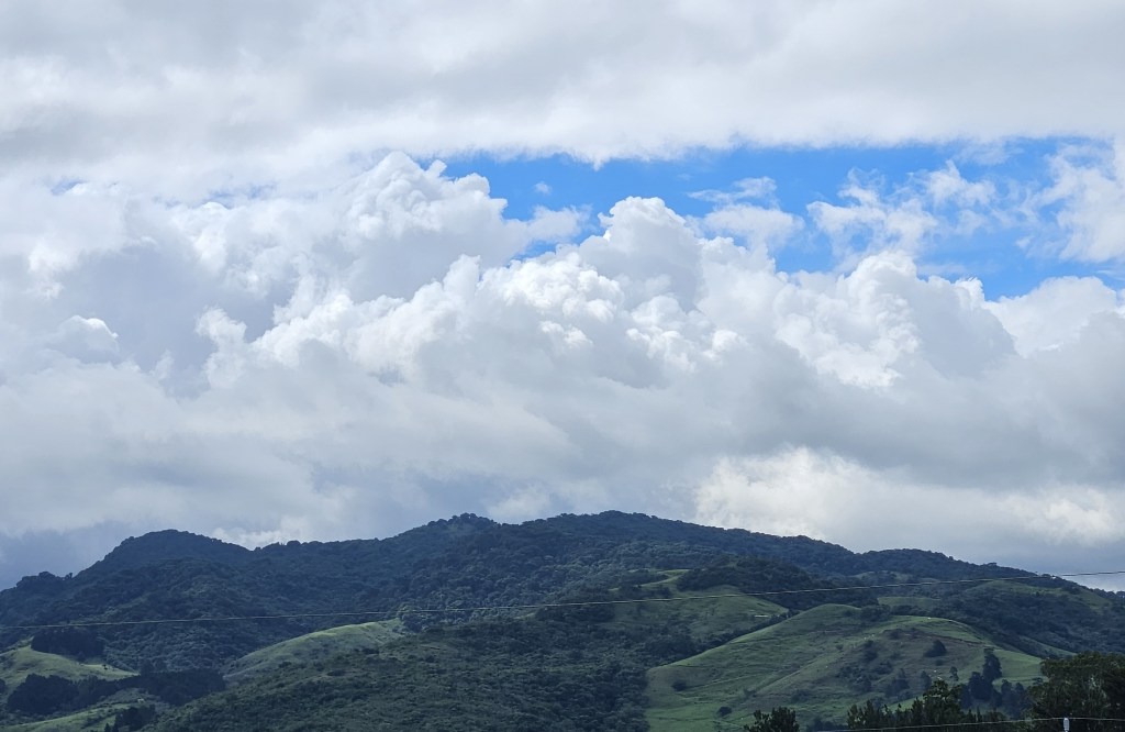 Final Results of My&nbsp;Contribution